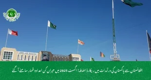 افغانستان سے پاکستان کی درآمدات میں ریکارڈ اضافہ اگست 2025 میں حیران کن اعدادوشمار سامنے آگئے