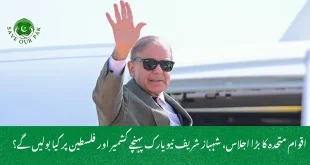 اقوام متحدہ کا بڑا اجلاس، شہباز شریف نیویارک پہنچے کشمیر اور فلسطین پر کیا بولیں گے؟