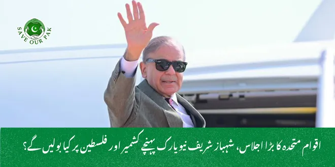 اقوام متحدہ کا بڑا اجلاس، شہباز شریف نیویارک پہنچے کشمیر اور فلسطین پر کیا بولیں گے؟