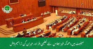 سینیٹ میں دھماکہ خیز اجلاس نئے تعلیمی بلز اور حیران کن ترامیم پیش