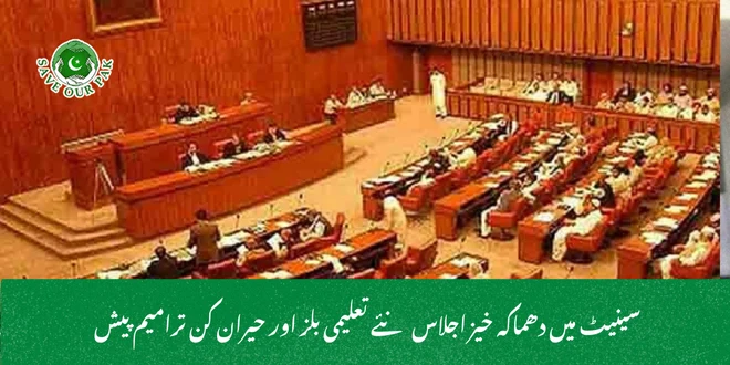 سینیٹ میں دھماکہ خیز اجلاس نئے تعلیمی بلز اور حیران کن ترامیم پیش