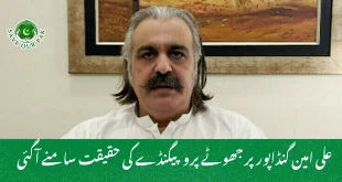 علی امین گنڈاپور پر جھوٹے پروپیگنڈے کی حقیقت سامنے آگئی