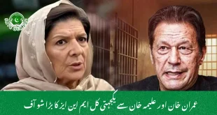 عمران خان اور علیمہ خان سے یکجہتی کل ایم این ایز کا بڑا شو آف