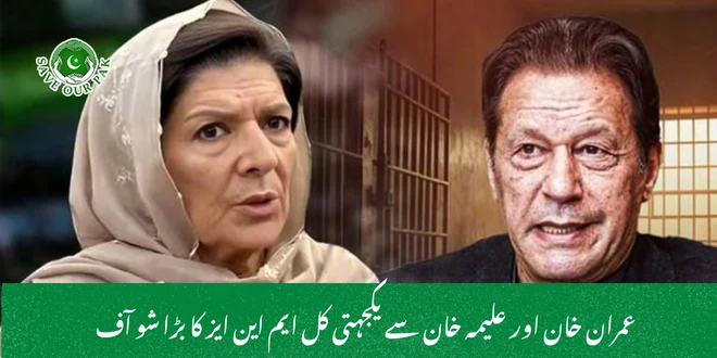 عمران خان اور علیمہ خان سے یکجہتی کل ایم این ایز کا بڑا شو آف