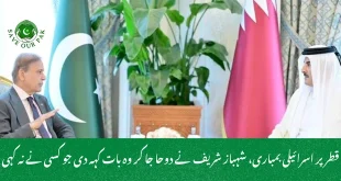 قطر پر اسرائیلی بمباری، شہباز شریف نے دوحا جا کر وہ بات کہہ دی جو کسی نے نہ کہی
