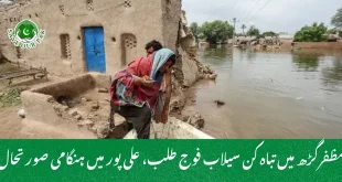 مظفرگڑھ میں تباہ کن سیلاب فوج طلب، علی پور میں ہنگامی صورتحال