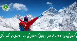 پاکستان کی 6 ہزار 80 میٹر بلند چوٹی پر جاپانی کوہ پیماؤں کی شاندار کامیابی دنیا دنگ رہ گئی