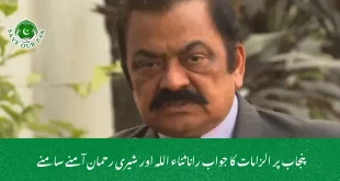 پنجاب پر الزامات کا جواب رانا ثناء اللہ اور شیری رحمان آمنے سامنے