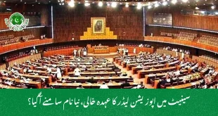  سینیٹ میں اپوزیشن لیڈر کا عہدہ خالی، نیا نام سامنے آگیا؟