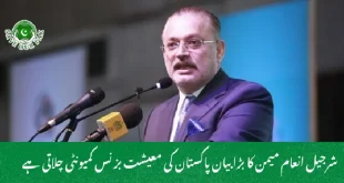 شرجیل انعام میمن کا بڑا بیان پاکستان کی معیشت بزنس کمیونٹی چلاتی ہے