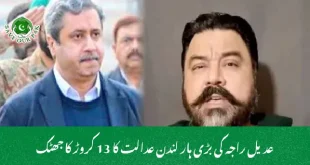 عدیل راجہ کی بڑی ہار لندن عدالت کا 13 کروڑ کا جھٹک