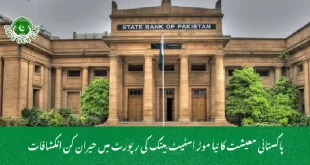 پاکستانی معیشت کا نیا موڑ اسٹیٹ بینک کی رپورٹ میں حیران کن انکشافات