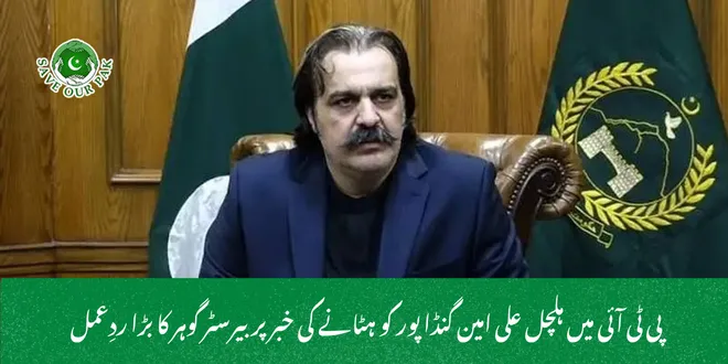 پی ٹی آئی میں ہلچل علی امین گنڈا پور کو ہٹانے کی خبر پر بیرسٹر گوہر کا بڑا ردِعمل