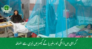  کراچی میں ڈینگی اور ملیریا کے کیسز میں تیزی سے اضافہ
