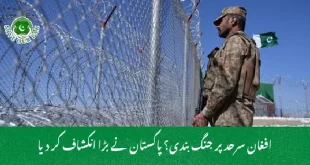 افغان سرحد پر جنگ بندی؟ پاکستان نے بڑا انکشاف کر دیا