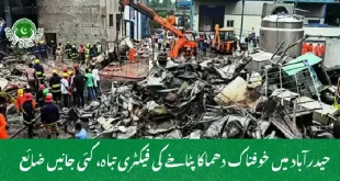 حیدرآباد میں خوفناک دھماکا پٹاخے کی فیکٹری تباہ، کئی جانیں ضائع