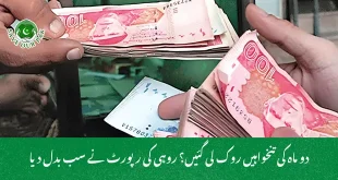 دو ماہ کی تنخواہیں روک لی گئیں؟ روہی کی رپورٹ نے سب بدل دیا