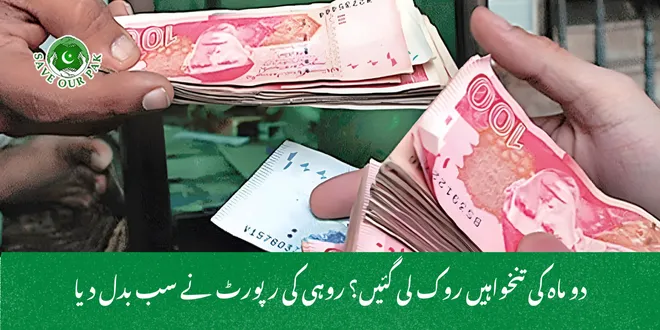 دو ماہ کی تنخواہیں روک لی گئیں؟ روہی کی رپورٹ نے سب بدل دیا