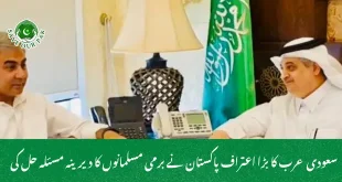 سعودی عرب کا بڑا اعتراف پاکستان نے برمی مسلمانوں کا دیرینہ مسئلہ حل کی