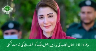 مریم نواز کا بڑا اعلان پنجاب کی ہر زمین اصل مالک کو، قبضہ مافیا کی شامت آگئی