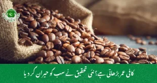 کافی عمر بڑھاتی ہے؟ نئی تحقیق نے سب کو حیران کر دیا