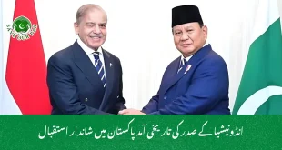 انڈونیشیا کے صدر کی تاریخی آمد پاکستان میں شاندار استقبال