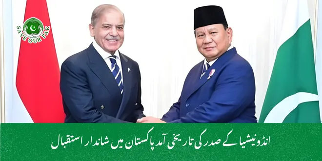 انڈونیشیا کے صدر کی تاریخی آمد پاکستان میں شاندار استقبال