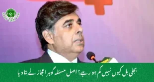 بجلی بل کیوں نہیں کم ہو رہے؟ اصل مسئلہ گوہر اعجاز نے بتا دیا