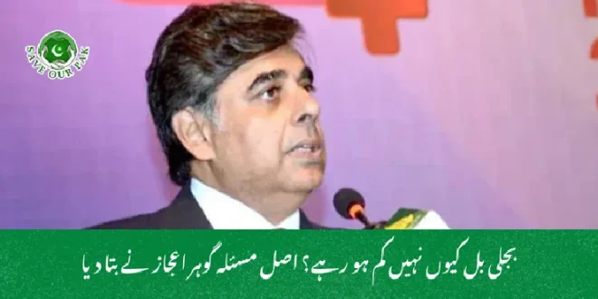 بجلی بل کیوں نہیں کم ہو رہے؟ اصل مسئلہ گوہر اعجاز نے بتا دیا