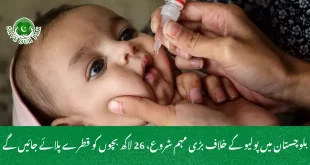 بلوچستان میں پولیو کے خلاف بڑی مہم شروع، 26 لاکھ بچوں کو قطرے پلائے جائیں گے