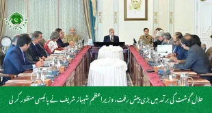 حلال گوشت کی برآمد میں بڑی پیش رفت، وزیراعظم شہباز شریف نے پالیسی منظور کر لی