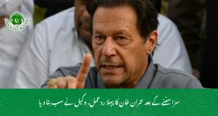 سزا سننے کے بعد عمران خان کا پہلا ردعمل، وکیل نے سب بتا دیا