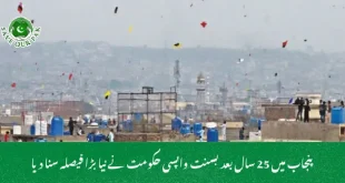  پنجاب میں 25 سال بعد بسنت واپسی حکومت نے نیا بڑا فیصلہ سنا دیا