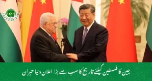 چین کا فلسطین کیلئے تاریخ کا سب سے بڑا اعلان دنیا حیران