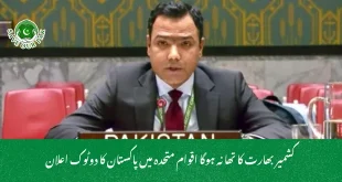  کشمیر بھارت کا تھا نہ ہوگا اقوام متحدہ میں پاکستان کا دوٹوک اعلان