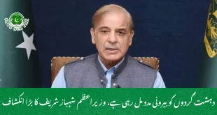 دہشت گردوں کو بیرونی مدد مل رہی ہے، وزیراعظم شہباز شریف کا بڑا انکشاف