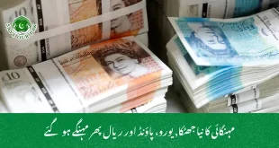 مہنگائی کا نیا جھٹکا, یورو، پاؤنڈ اور ریال پھر مہنگے ہو گئے