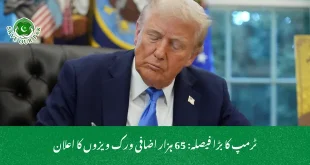 ٹرمپ کا بڑا فیصلہ: 65 ہزار اضافی ورک ویزوں کا اعلان