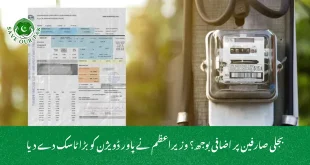 بجلی صارفین پر اضافی بوجھ؟ وزیراعظم نے پاور ڈویژن کو بڑا ٹاسک دے دیا