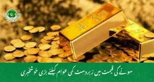 خیرپور میں دل دہلا دینے والا واقعہ, بیٹے نے ماں کو گولی مار دی