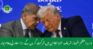  وزیراعظم شہباز شریف غزہ اجلاس میں شرکت کریں گے، بڑا سفارتی پیغام تیار