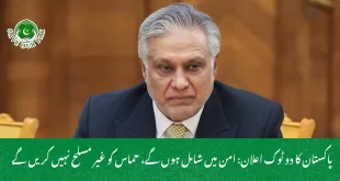  پاکستان کا دو ٹوک اعلان: امن میں شامل ہوں گے، حماس کو غیر مسلح نہیں کریں گے