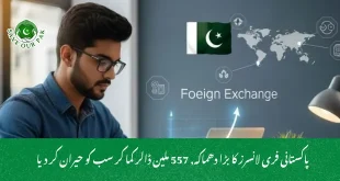 پاکستانی فری لانسرز کا بڑا دھماکہ, 557 ملین ڈالر کما کر سب کو حیران کر دیا