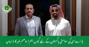 یو اے ای کی سلامتی پاکستان کے لیے کیوں اہم؟ عاصم منیر کا بڑا بیان