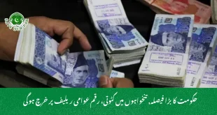حکومت کا بڑا فیصلہ, تنخواہوں میں کٹوتی، رقم عوامی ریلیف پر خرچ ہوگی