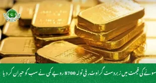 سونے کی قیمت میں زبردست گراوٹ, فی تولہ 8700 روپے کمی نے سب کو حیران کر دیا