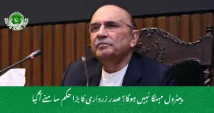 پیٹرول مہنگا نہیں ہوگا؟ صدر زرداری کا بڑا حکم سامنے آگیا