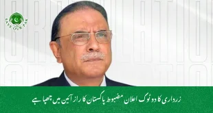 زرداری کا دو ٹوک اعلان مضبوط پاکستان کا راز آئین میں چھپا ہے