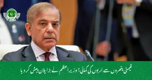 قیمتی پتھروں سے اربوں کی کمائی؟ وزیراعظم نے بڑا پلان پیش کر دیا