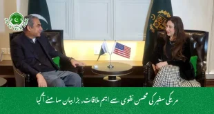 مریکی سفیر کی محسن نقوی سے اہم ملاقات, بڑا بیان سامنے آ گیا